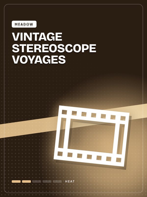 Vintage Stereoscope Voyages artwork